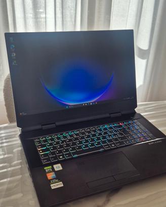Notebook Gaming/Workstation Clevo X170sm-g Rtx2070