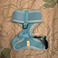 Pettorina per cani piccola taglia