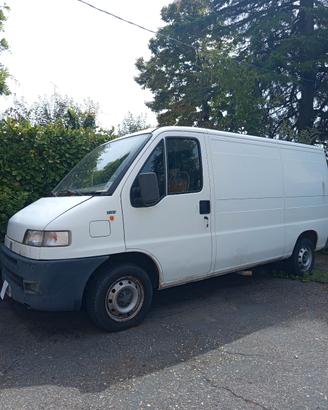 fiat Ducato 