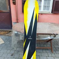 Bataleon party Wave 151 2023