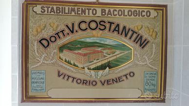 tabella litografata Costantini bachi da seta 