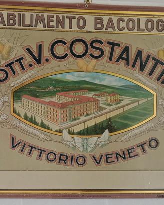 tabella litografata Costantini bachi da seta 