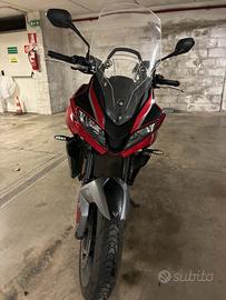 Tiger Sport  660 My25