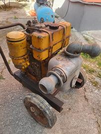 Motopompa irrigazione 