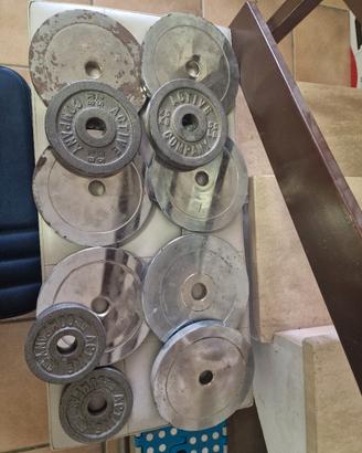 Set dischi palestra