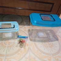 Due vaschette per pesci e piante finte