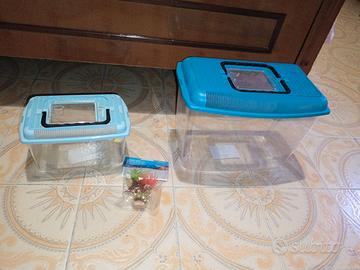 Due vaschette per pesci e piante finte