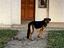 Immagine 3