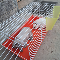 Coniglio nano con gabbia