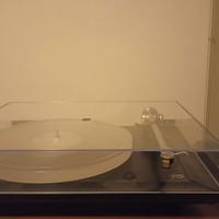 GIRADISCHI REGA P5 FULL UPGRADE GROOVETRACER