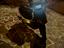Immagine 3