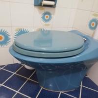 Wc azzurro pozzi Ginori