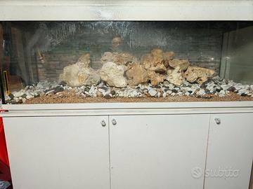 Acquario 150 cm.