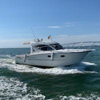 Sessa marine 26'