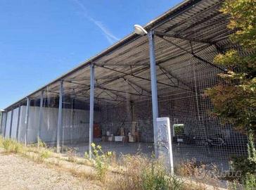 Immobile in asta di 1492 m² a San Cipriano Po