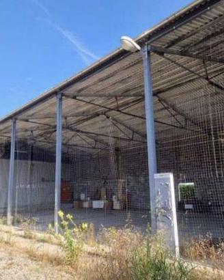 Immobile in asta di 1492 m² a San Cipriano Po