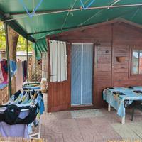 Casetta legno campeggio il delfino Torvaianica