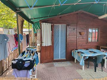 Casetta legno campeggio il delfino Torvaianica