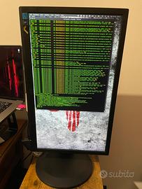 Monitor AOC