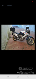 Honda transalp 700 v