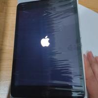 iPad mini 5 gen  256GB + LTE 