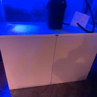 Askoll Ciano 120 usato con supporto