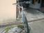 Immagine 2