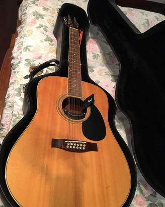 Chitarra 12 corde