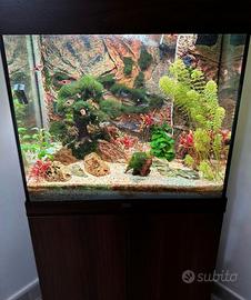 acquario Juwel Lido 120 accessoriato