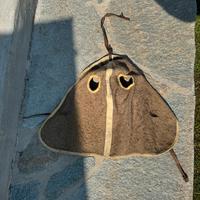 Copri occhi per cavallo militare