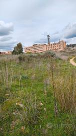 Terreno edificabile 5000m