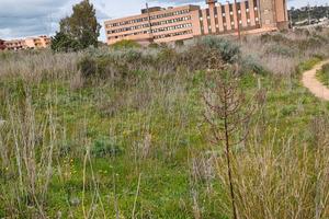 Terreno edificabile 5000m