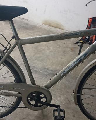 Bicicletta passeggio 