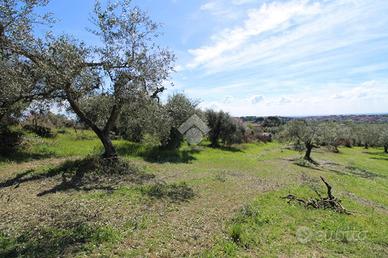 TER. AGRICOLO A FONTE NUOVA