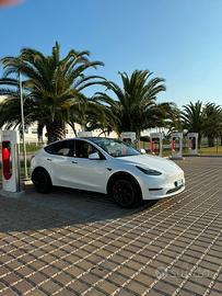 Tesla model Y RWD