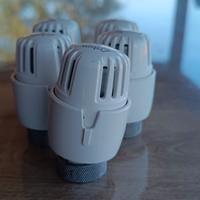 Testa termostatica RBM TL10


