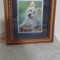 quadro cane maltese dipinto 