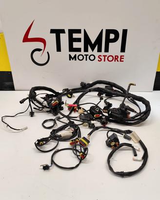 Impianto elettrico Ducati 1098 (2007 al 2008)