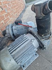 Elettropompa Fir Trifase potenza 3,7 hp 