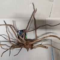 Legno Decorativo x Acquario o Terrario cm 60x40