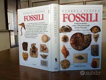 Guarda & Scopri Fossili Fabbri 1993