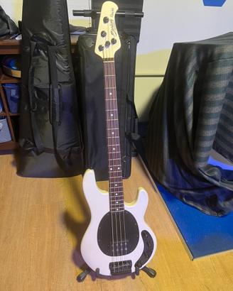 Basso Sterling Ray34 by Music Man Pearl White