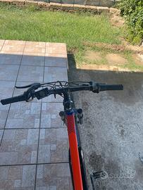 Bici elettrica