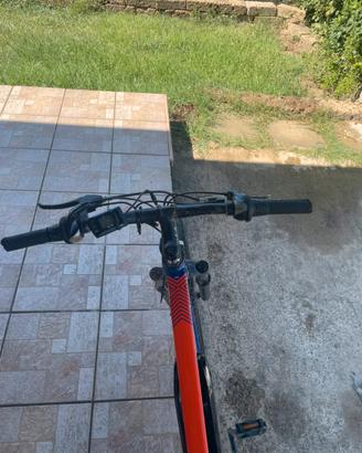 Bici elettrica