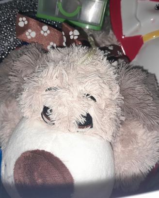 PELUCHE USATI COMPRESA CESTA DA ASPORTO 