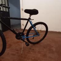 Mountain bike da uomo