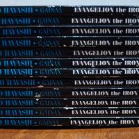 Manga Evangelion the iron maiden 2nd 1-12 completa