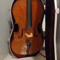 Violoncello
