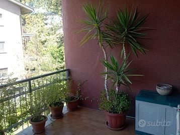Appartamento in zona residenziale