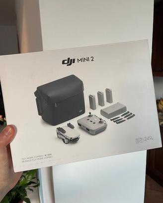 Drone foto/video DJI Mini 2 perfetto con borsa